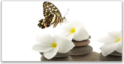Produktbild von Glasbilder 140x70 Wandbild Druck auf Glas Schmetterling Blumen Steine Pflanzen