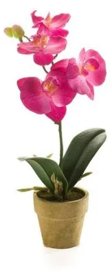 Produktbild von künstliche Mini Orchidee im Topf pink H. 25cm Emerald Zimmerpflanze WA