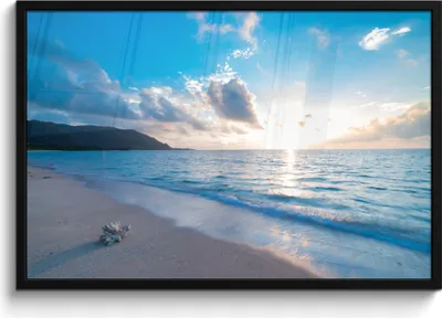 Produktbild von MuchoWow® MuchoWow® Gerahmtes Poster Strand - Meer - Muschel 90x60 cm - Poster mit zchwarzem Bilderrahmen - Fotorahmen - Foto-Plakat
