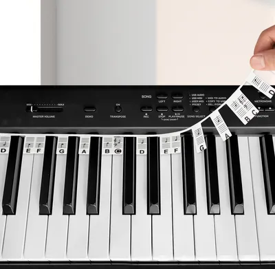 Image de (Classique noir) Autocollants de touches de piano pour débutants, autocollants de clavier de piano amovibles pour apprendre, 88 touches pleine grandeur, en silicone, aucun autocollant nécessaire, réutilisable