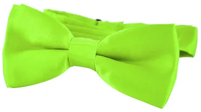 Produktbild von DonDon® Edle Kinder Fliege gebunden und längenverstellbar 9 x 4,5 cm hellgrün glänzend in Seidenlook