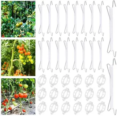 Immagine prodotto di Ibenzoa®: 18 ganci in acciaio zincato con 18 metri di corda in nylon e 18 clip per piante – supporto robusto per rampicanti, ideale per pomodori, cetrioli e viti