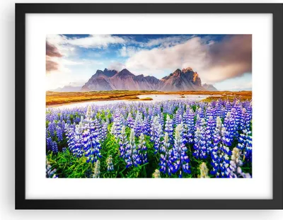 Produktbild von Gerahmtes Poster - Schwarzer Rahmen - Berge Wiese Blumen - 40x30 cm - Wand Bild - Wanddeko - Wandbilder - Kunstposter - Wandposter - Bilderrahmen - Bilder - Kunstdruck - Wandbild - P2BAA40x30-4114