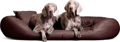 Produktbild von tierlando® Orthopädisches Hundebett SAMMY | Pflegeleichtes Kunstleder | L-XXXXL - Größe: 140x105cm | Farbe: 01 Braun