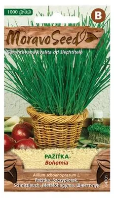Obrázek produktu pro Pažitka BOHEMIA 64701