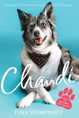 Produktbild von Chandi