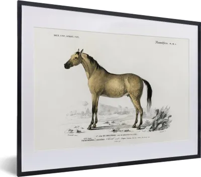 Produktbild von MuchoWow® MuchoWow® Gerahmtes Poster Pferd - Vintage - Tier 40x30 cm - Poster mit zchwarzem Bilderrahmen - Bilderrahmen - Poster im Rahmen