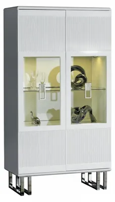Immagine prodotto di Elegante vetrina con frontale in vetro per una presentazione raffinata e uno spazio di contenimento