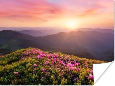 Produktbild von MuchoWow® Poster Blumen - Berg - Sonnenuntergang - Landschaft 120x90 cm - Wandbild