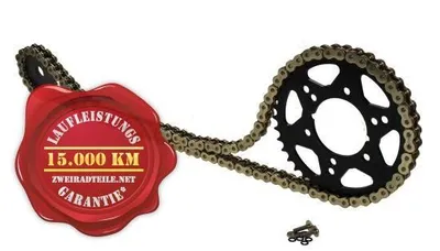 Obrázok produktu pre Sada reťaze X-Ring, zosilnená, pre Kawasaki ZXR750 R M1-M3, modely 1993-1995, rozmer 16 zubov / 41 zubov