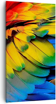 Produktbild von Bild auf Leinwand - Leinwandbild - Feder Papagei Vogel - 55x100cm - Wand Bild - Wanddeko - Leinwanddruck - Bilder - Kunstdruck - Wanddekoration - Leinwand bilder - Wandkunst - PA55x100-3428
