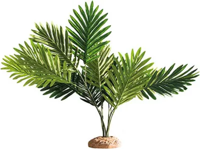 Produktbild von HOBBY Terraristik Palm, Pflanzen, 1 Stück(e), 600 mm, 400 mm, 550 mm