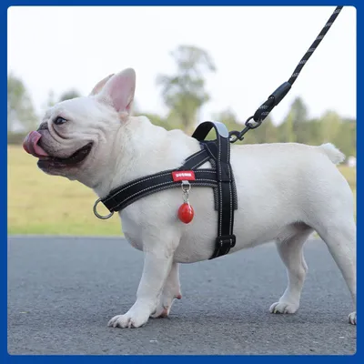 Image de Harnais Ajustable pour Chien, Réfléchissant Confortable Léger avec Poignée Contrôle et Anneau - Noir Taille L