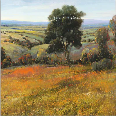 Produktbild von ARTland Wandbild Alu für Innen & Outdoor Feld im Sommer Größe: 30x30 cm