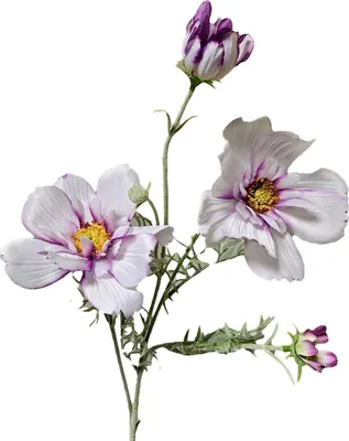 Produktbild von artplants.de Künstlicher Zweig Schmuckkörbchen HIKJAN, weiß-violett, 80cm - Deko Cosmeazweig