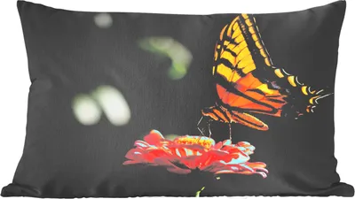 Produktbild von MuchoWow® Zierkissen Sofakissen Wohnzimmer Dekokissen 60x40 cm Schmetterling - Botanisch - Blume - Kopfkissen - Polster mit Foto