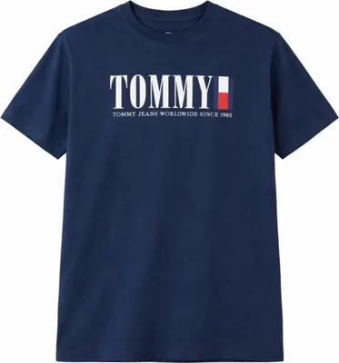 Obrázek produktu pro Trička Tommy Hilfiger DM0DM21941C1G