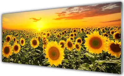 Produktbild von Acrylglasbilder 125x50 Wandbild Druck Sonnenblumen Pflanzen