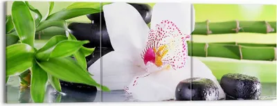 Produktbild von Bild auf Leinwand - Leinwandbild - blume orchidee - 150x50cm - Wand Bild - Wanddeko - Wandbilder - Leinwanddruck - Bilder - Kunstdruck - Wanddekoration - Leinwand bilder - Wandkunst - CA150x50-3659
