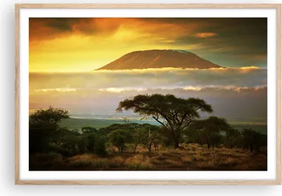 Produktbild von Gerahmtes Poster - Rahmen in heller Eiche - Safari Tierwelt Berg Kenia - 91,5x61 cm - Wand Bild - Wanddeko - Wandbilder - Wandposter - Bilderrahmen - Bilder - Kunstdruck - Wandbild - P2NAA91x61-3170