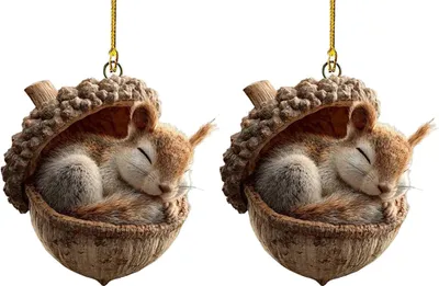 Two identical ornaments of a squirrel sleeping inside an acorn.