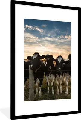 Produktbild von MuchoWow® Gerahmtes Poster Tiere - Kuh 60x90 cm - Poster mit Schwarzem Bilderrahmen Wandposter Rahmen Foto Bilder - Dekoration - Wandposter Wohnzimmer - Hochwertig