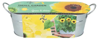 Artikelbild 1 von 'Anzuchtset Sonnenblume mit Zinkwanne' aus der Kategorie Anzuchtsets