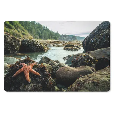 Produktbild von MuchoWow® Mauspad Mousepad Meer - Steine - Seesterne 27x18 cm - Mousepads - Maus Mat - Pad - Mausunterlage - Büroartikel - Desk Matten