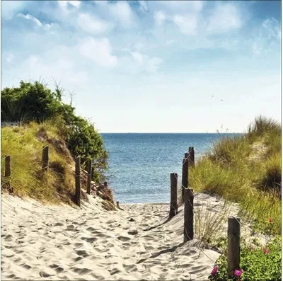Produktbild von Leinwandbild Summer Breeze I 40x40 cm