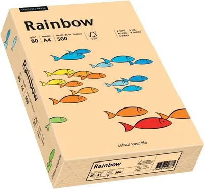 Obrázek produktu pro Papyrus 88042497 Rainbow Pastell - A4, 80 g/qm, lachs, 500 Blatt