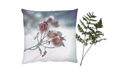 Produktbild von MuchoWow® Zierkissen Sofakissen Wohnzimmer Dekokissen 45x45 cm Pflanzen - Winter - Schnee - Natur - Schlafpolster - Polster für das Sofa