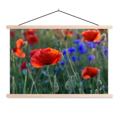 Produktbild von MuchoWow® Textilposter Bunte Mohnblumen in den Niederlanden 60x40 cm mit holzfarbenen Rahmen - Bilder
