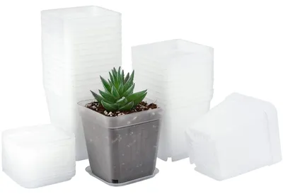 Obrázek produktu pro Omgoods - 24 kusů květináčů o průměru 7 cm s podnosy, průhledné