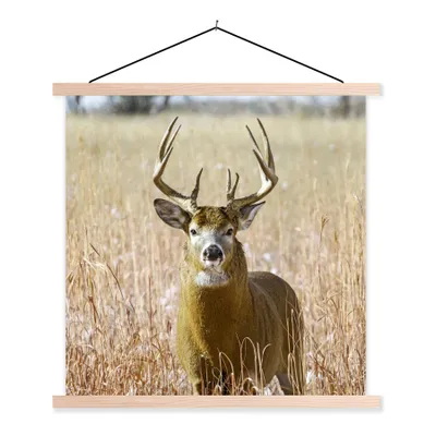 Produktbild von MuchoWow® Textilposter Hirsche - Gras - Herbst - Tiere - Natur - Geweih 40x40 cm mit holzfarbenen Rahmen - Posterleiste