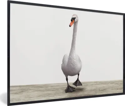 Produktbild von MuchoWow® Gerahmtes Poster Schwan - Tiere - Vogel - Jungen - Mädchen - Kinder 90x60 cm - Poster mit Schwarzem Bilderrahmen Wandposter Rahmen Foto Bilder - Fotorahmen - Foto-Plakat