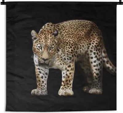 Produktbild von MuchoWow® Wandteppich Wandbehang Leopard - Fell - Wild 150x150 cm Tapisserie Dekoration Wandtuch - Wohnaccessoires - Modernes