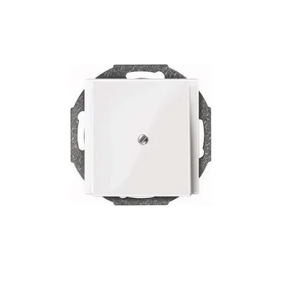 Image de MERTEN Zentralplatte Leitungsausl. 296319 System M polarweiss glänzend 296319 296319 (296319)