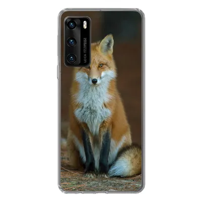Produktbild von MuchoWow® Handyhülle Schutzhülle Hülle für Huawei P40 Fuchs - Makro - Rot Silikon Softcase Handy Hülle - Handytasche