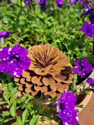 Produktbild von Edelrost Blume Zinie