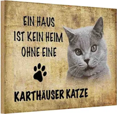 Produktbild von vianmo Holzschild 12x18 cm Karthäuser Katze ohne kein Heim Tier Haustier