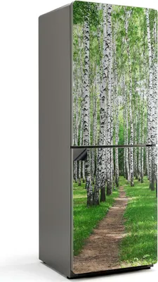 Produktbild von Baumallee im Wald – Magnetische Kühlschrank Abdeckung – Dekorfolie magnetisch Küche – Kühlschrank Magnet Deko – selbstklebende Magnettafel – Magnetfolie für Kühlschranktür – 70x190 cm