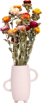 Immagine prodotto di QUVIO Vaso - Vasi - Vasi - Vaso di fiori - Vaso di fiori secchi - Vaso beige - Vaso di ceramica - Vaso di ceramica - Stile Japandi - Vaso di fiori secchi - Vaso di ceramica - Vaso di fiori - Ceramica - Beige
