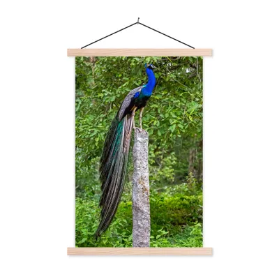 Produktbild von MuchoWow® Textilposter Pfau - Wald - Zweig 40x60 cm mit holzfarbenen Rahmen - Poster