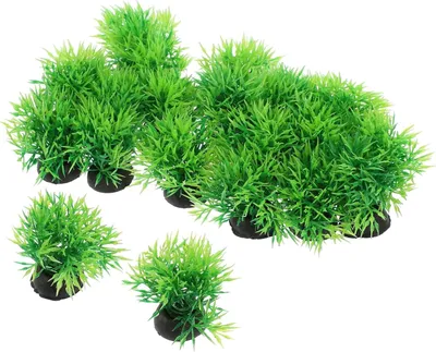 Image de Plantes artificielles pour aquarium, lot de 20, en plastique, de couleur verte, pour aquariums et terrariums
