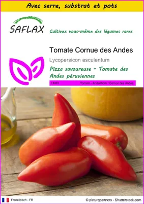 Image de SAFLAX Ensemble de culture - Tomate Cornue des Andes - 10 graines - Lycopersicon