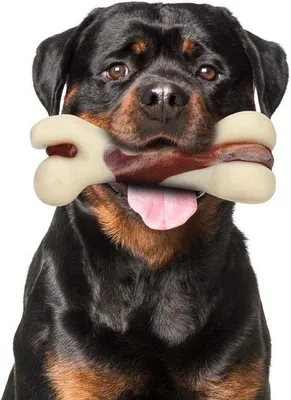 Image de Kauwbot pour chiens - Jouet à mâcher durable au goût de bœuf pour mâchoires agressives (L)