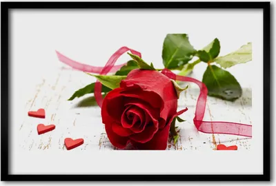 Produktbild von Bild 60x40 MDF-Rahmen Wandkunst Rose Blume Pflanze Natur