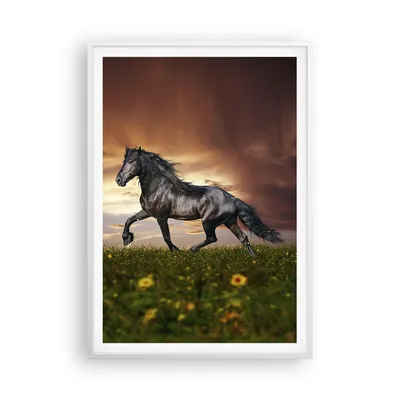 Produktbild von Gerahmtes Poster - Weißer Rahmen - Pferd Tier Wiese - 70x100 cm - Wand Bild - Wanddeko - Wandbilder - Kunstposter - Wandposter - Bilderrahmen - Bilder - Kunstdruck - Wandbild - P2WPA70x100-2608