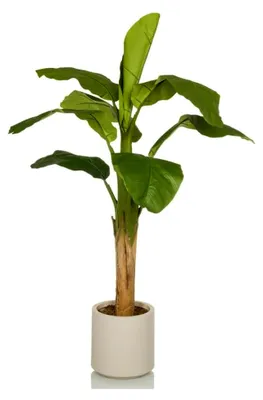 Produktbild von Kunstpflanze Banane I 150 cm - Pflegeleichte Deko Pflanze für Wohnzimmer, Schlafzimmer und Büro