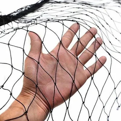 Produktbild von Vogelnet - Vogelgaas - 10 x 5 m - Nylon - Anti Vogelnet - Knoploos - Volieregaas